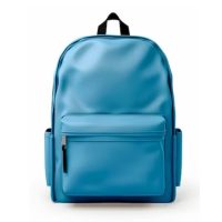 Unveiling Stylish & Resilient Backpack in Dubai's Collection From Online Shop Near Me | Stylish Backpack Collection Near Me In Low Price in UAE